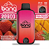 Mango peach watermelon-flavored disposable vape with 28 ml e-liquid, 850 mAh battery, dual mesh technology, and 2 puffs capacity.