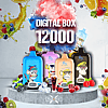 RandM Digital Box 12000 vape devices with colorful designs featuring cartoon monkeys, surrounded by fruit and ice, with text "DIGITAL BOX 12000" in the background.