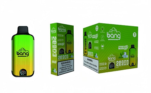A disposable vape device and packaging with a green and yellow gradient design, branded "bang." The packaging highlights features like "Dual Mesh," "2 Puffs," and includes a nicotine warning label.
