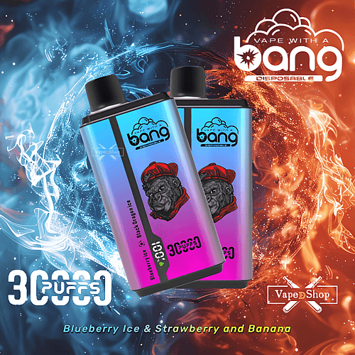 Bang disposable vape devices with a colorful design featuring a stylized dog wearing a red hat. The text highlights "3000 puffs" and flavors "Blueberry Ice & Strawberry and Banana."