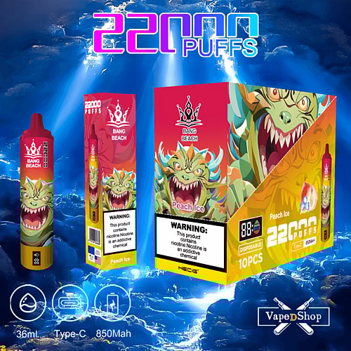 Bang Beach branded vape device with "22000 puffs" text, featuring a dragon logo, alongside a product box with warning label and icons indicating features like 850mAh battery, 36ml capacity, and Type-C charging.