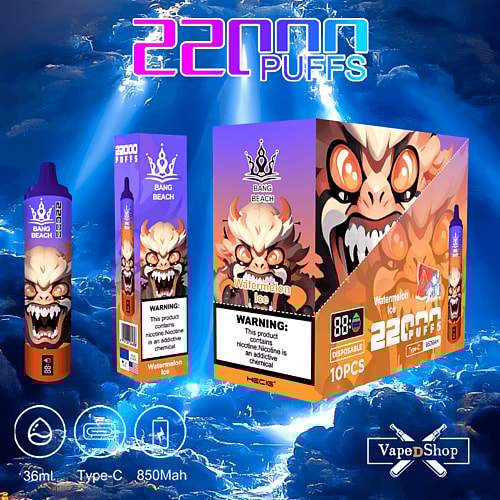 Disposable vape device packaging featuring "Bang Beach Watermelon Ice" with 22000 puffs, a cartoonish character design, nicotine warning label, 36ml e-liquid, Type-C charging, and 850mAh battery capacity.
