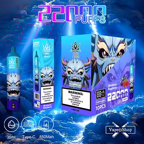 Blue-themed disposable vape packaging featuring a fierce, blue, dragon-like character, labeled "Bang Beach" and "Blueberry Raspberry." It highlights "22000 puffs," "Type-C," "850mAh," and nicotine warning labels.