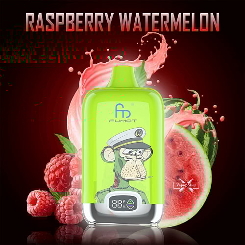A green RandM Digital Box 12000 vape device with a digital display featuring a stylized cartoon monkey in a captain's hat, surrounded by raspberries and watermelon slices. Text reads "Raspberry Watermelon."
