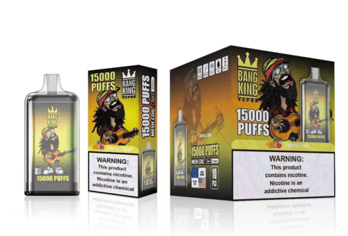 Emballage de produit de vapotage comportant la marque « Bang King », 15 000 bouffées et un personnage de dessin animé jouant de la guitare sur un fond à thème tropical, avec une étiquette d'avertissement de nicotine en bas.